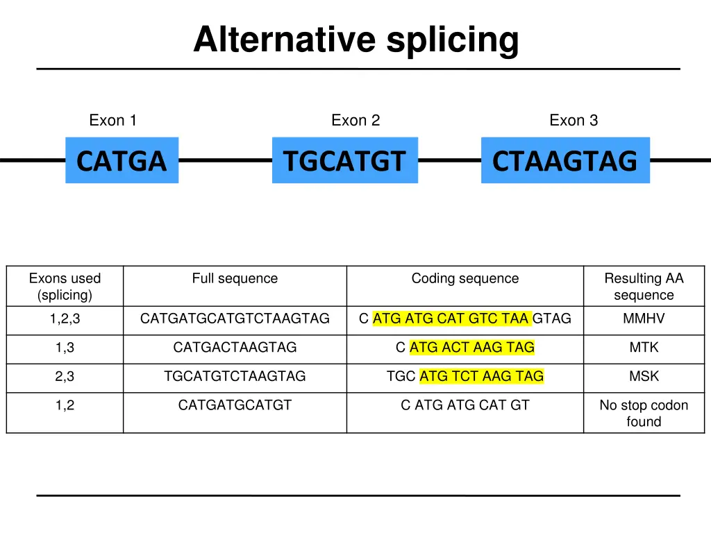 alternative splicing 3