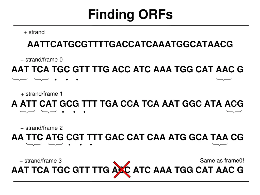 finding orfs 1