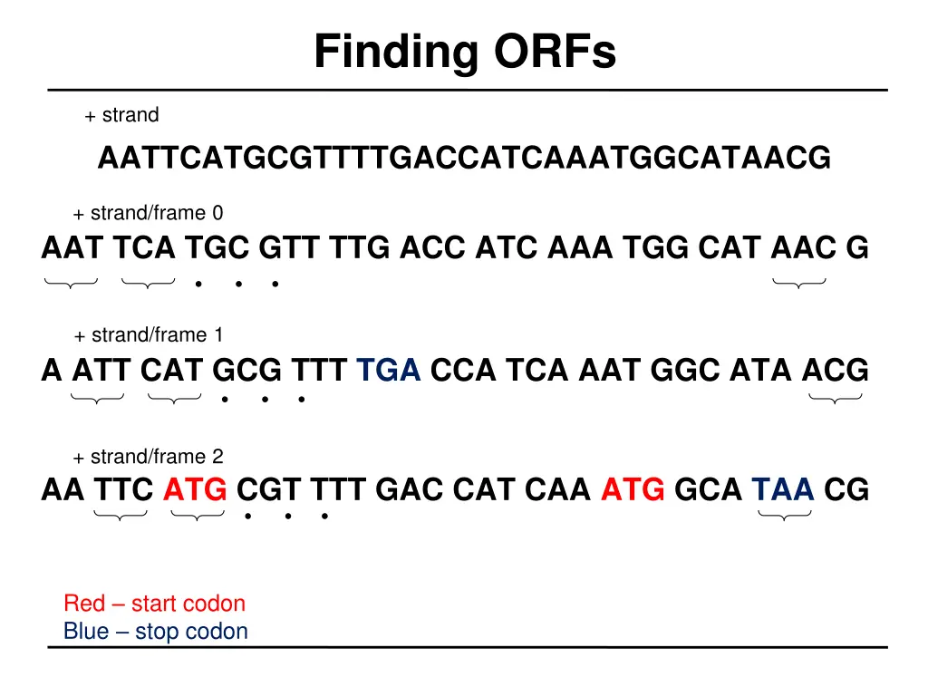 finding orfs 2