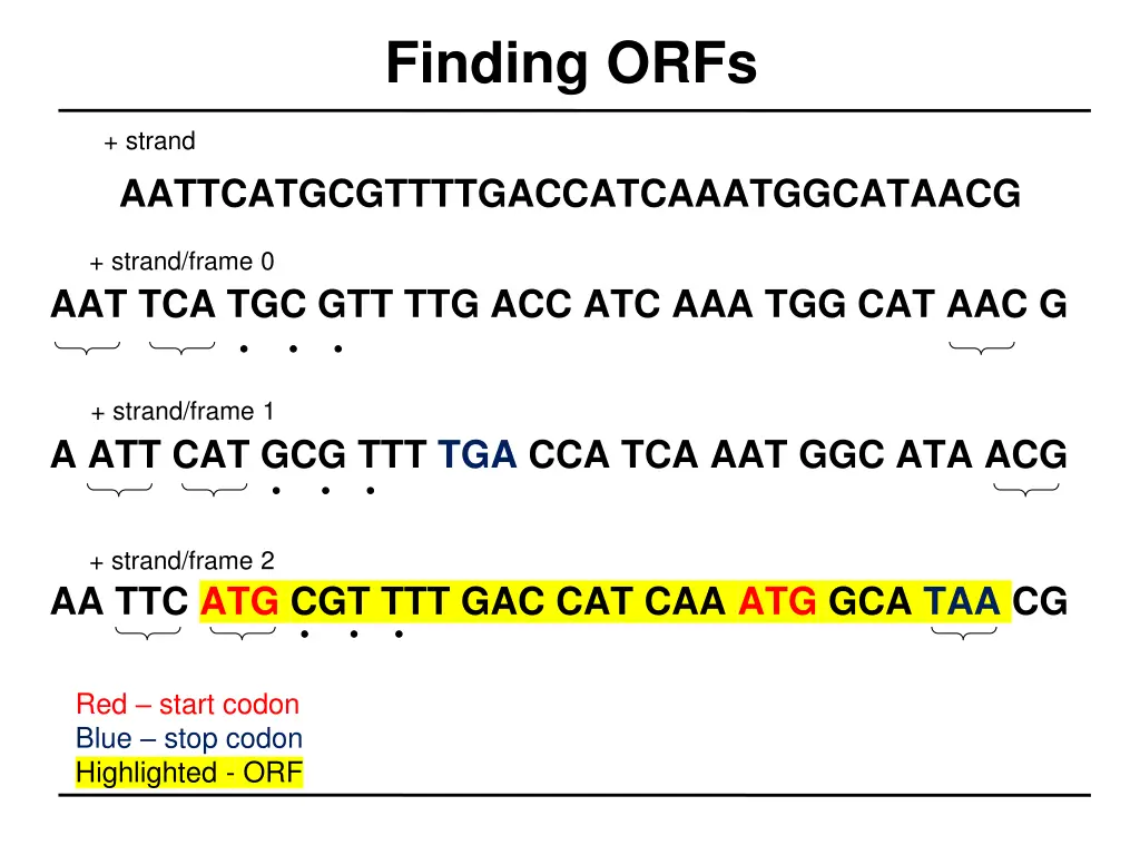 finding orfs 3