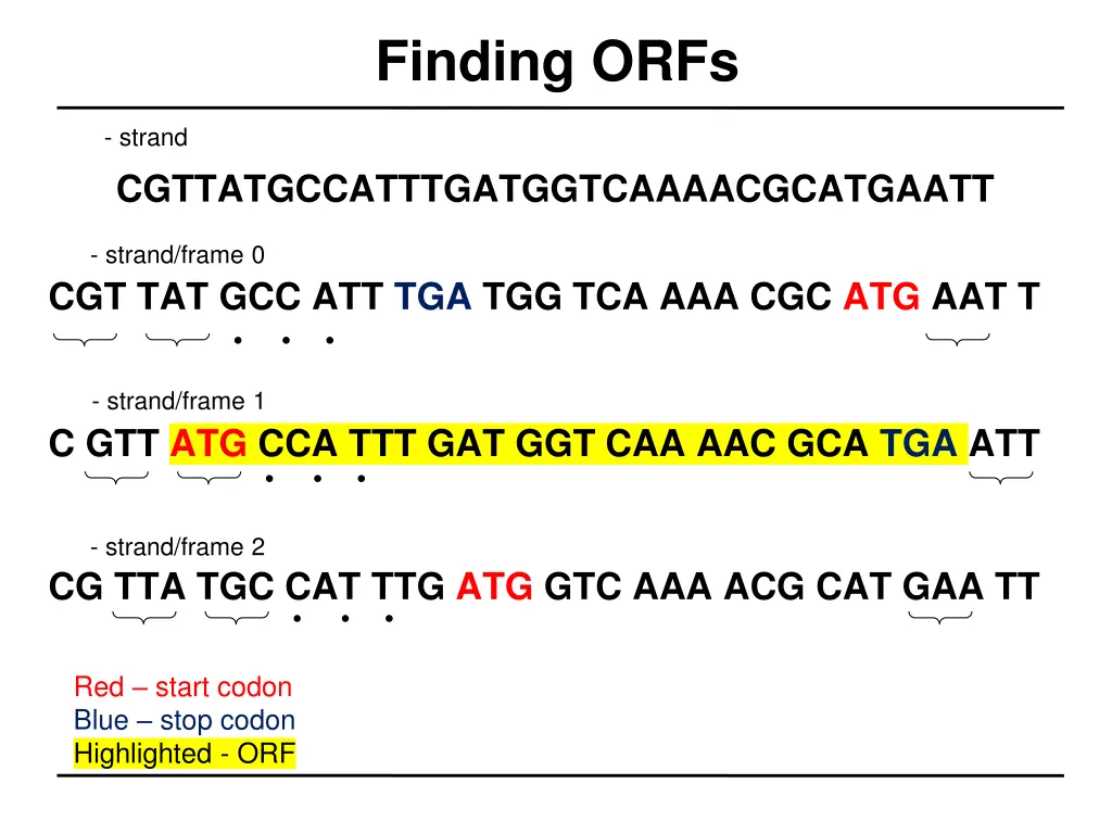 finding orfs 5