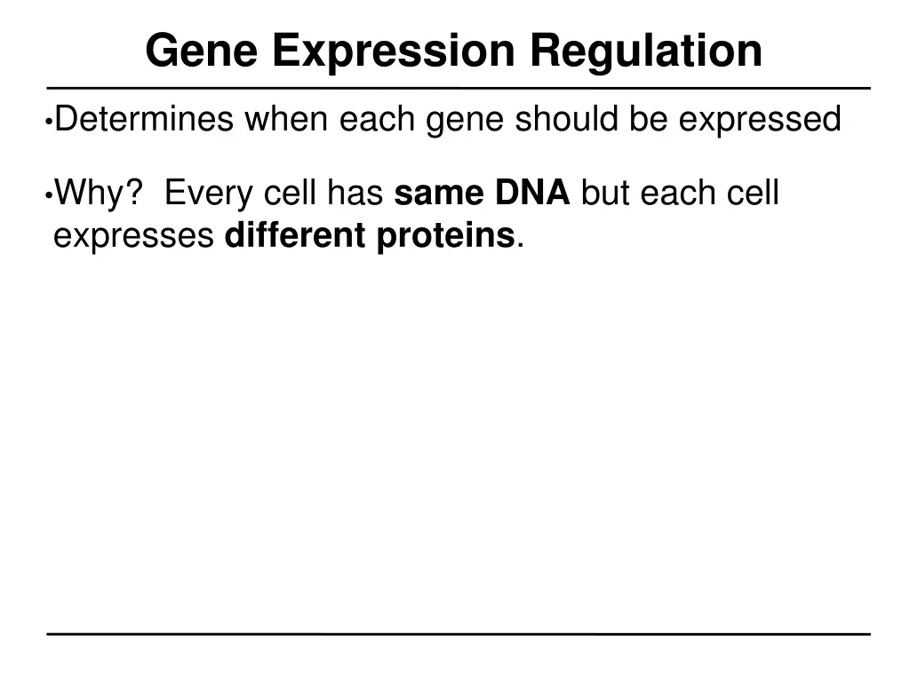 gene expression regulation