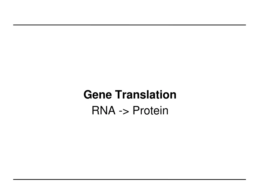 gene translation rna protein