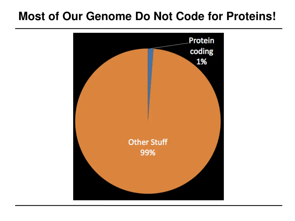 most of our genome do not code for proteins