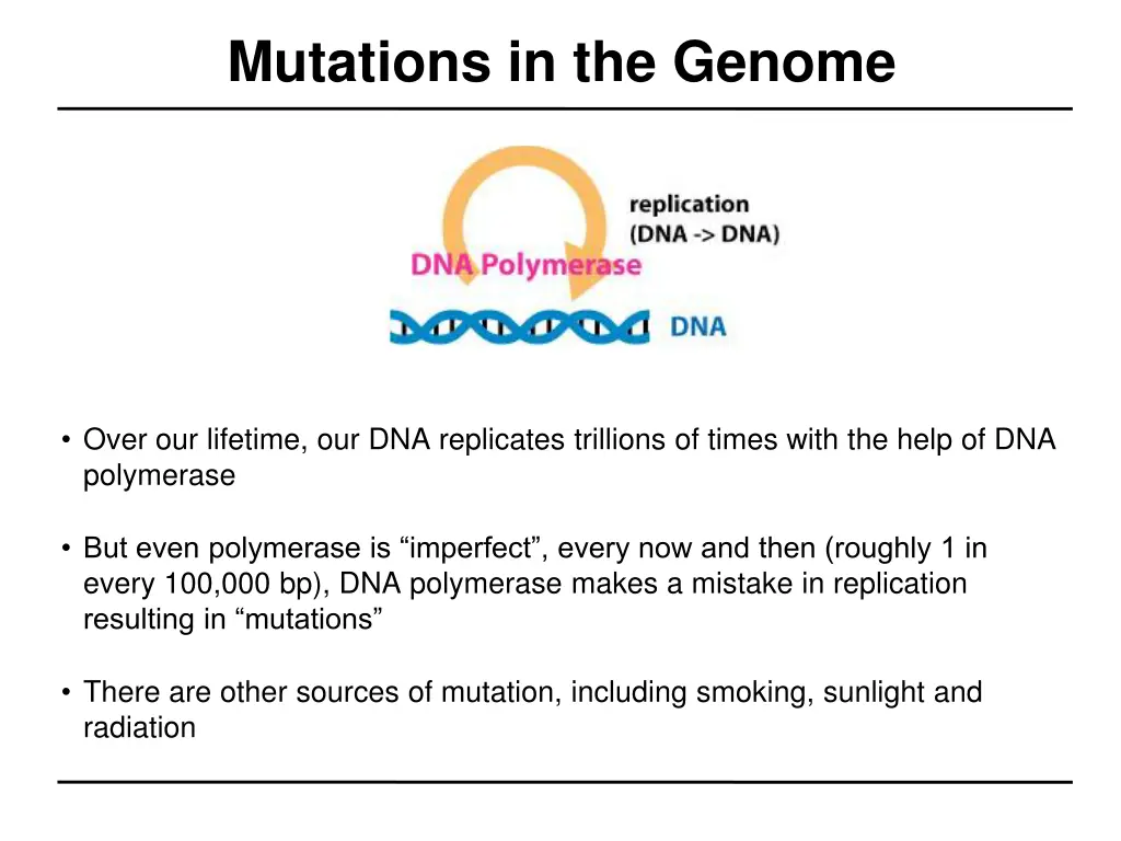 mutations in the genome