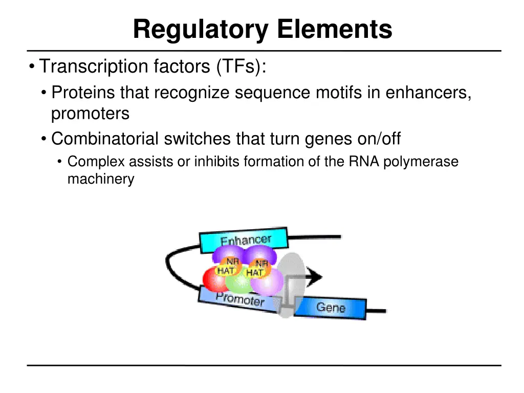 regulatory elements 1