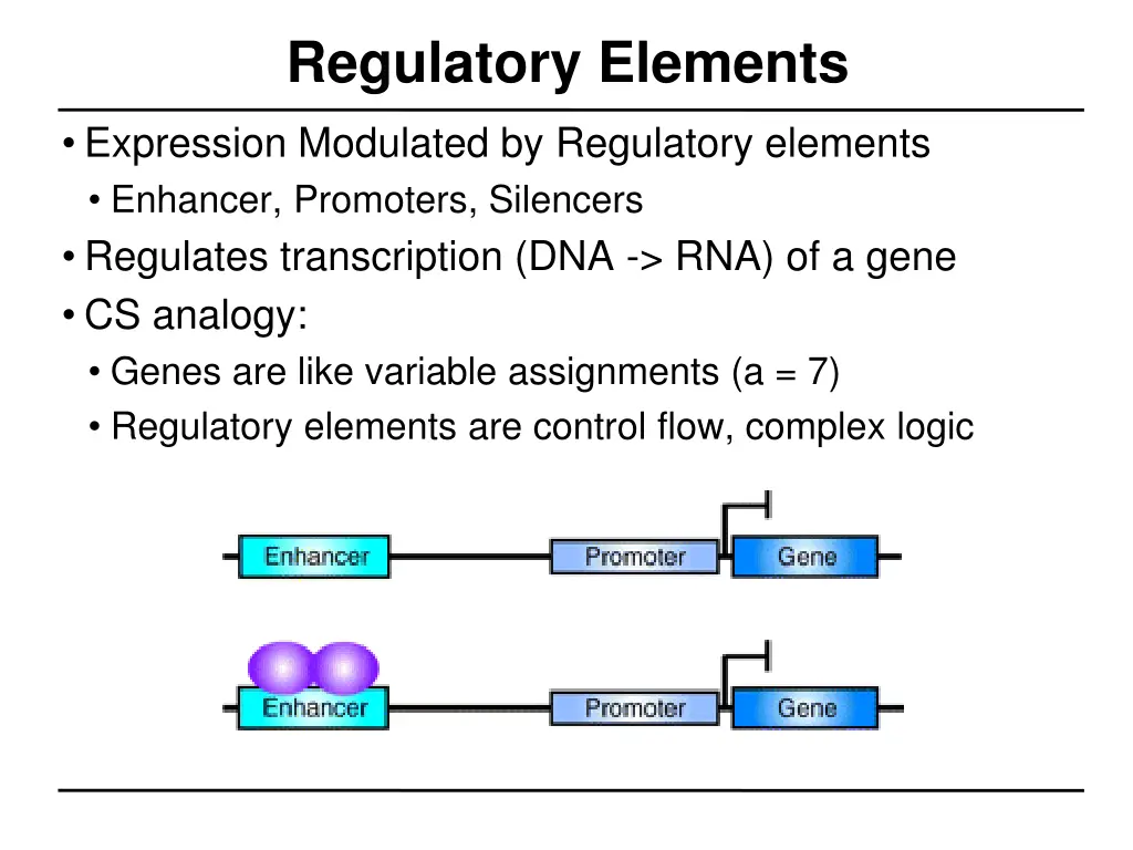 regulatory elements