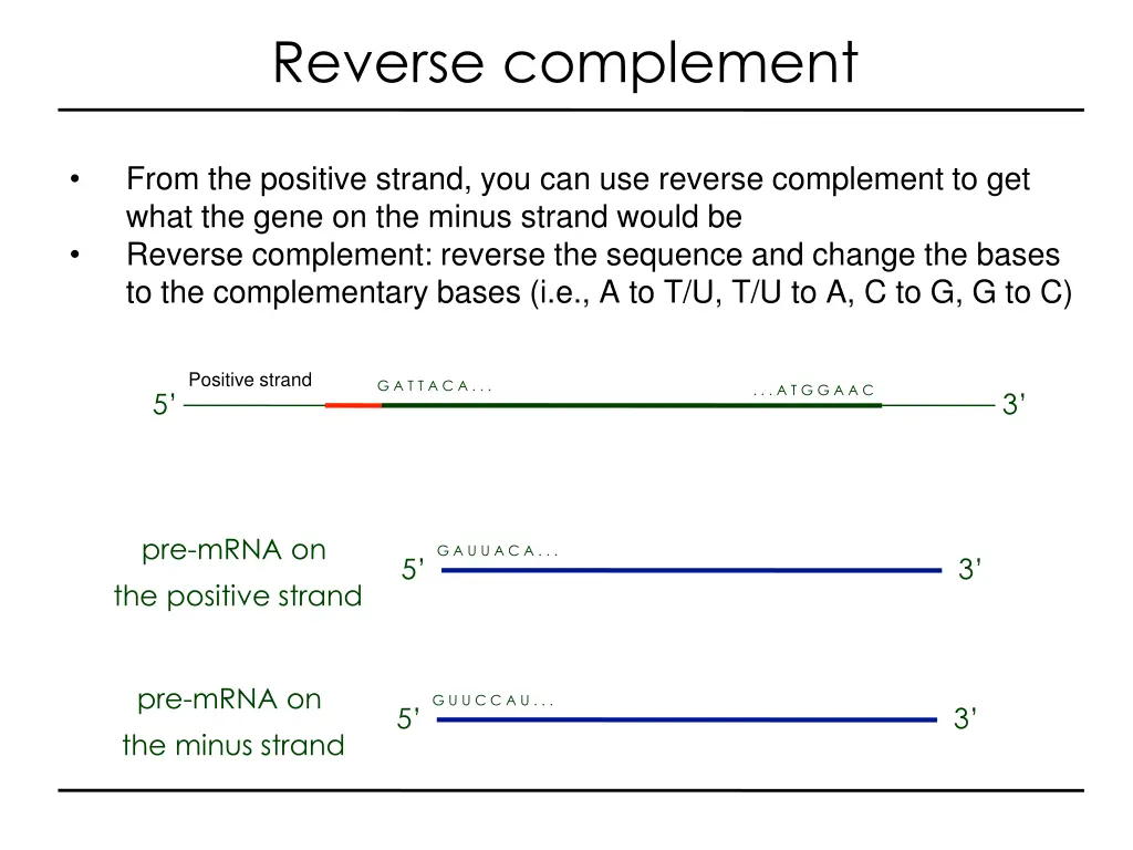 reverse complement