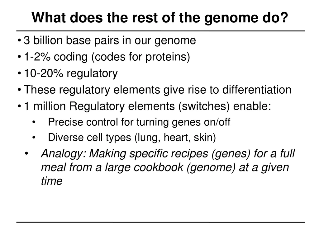 what does the rest of the genome do