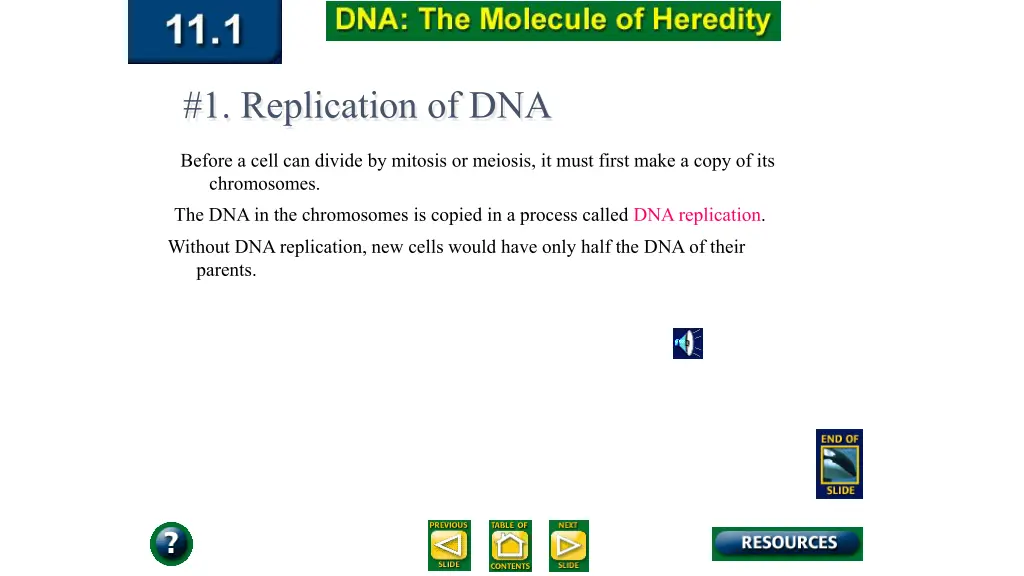 1 replication of dna