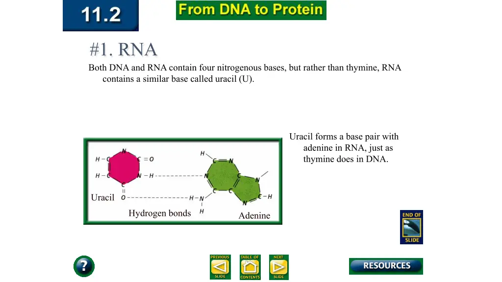 1 rna 1