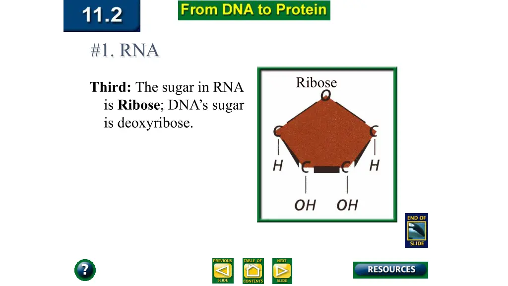 1 rna 2