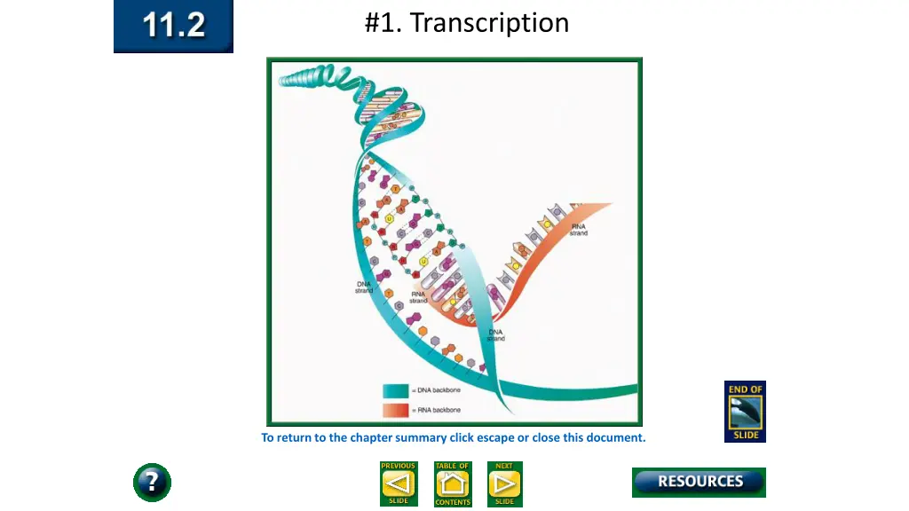 1 transcription