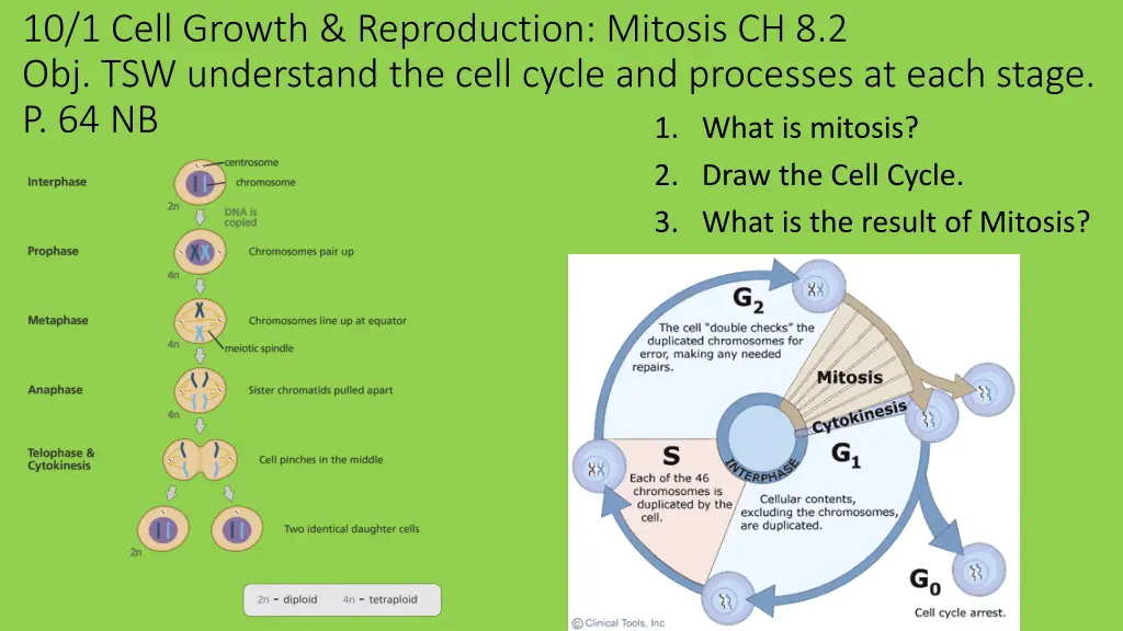 10 1 cell growth reproduction mitosis