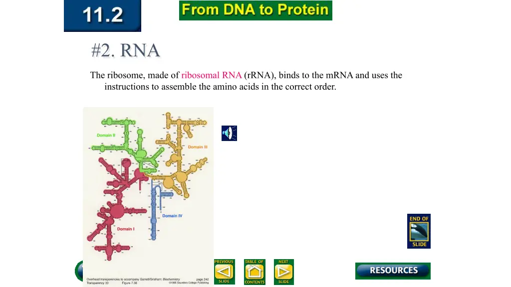 2 rna 2