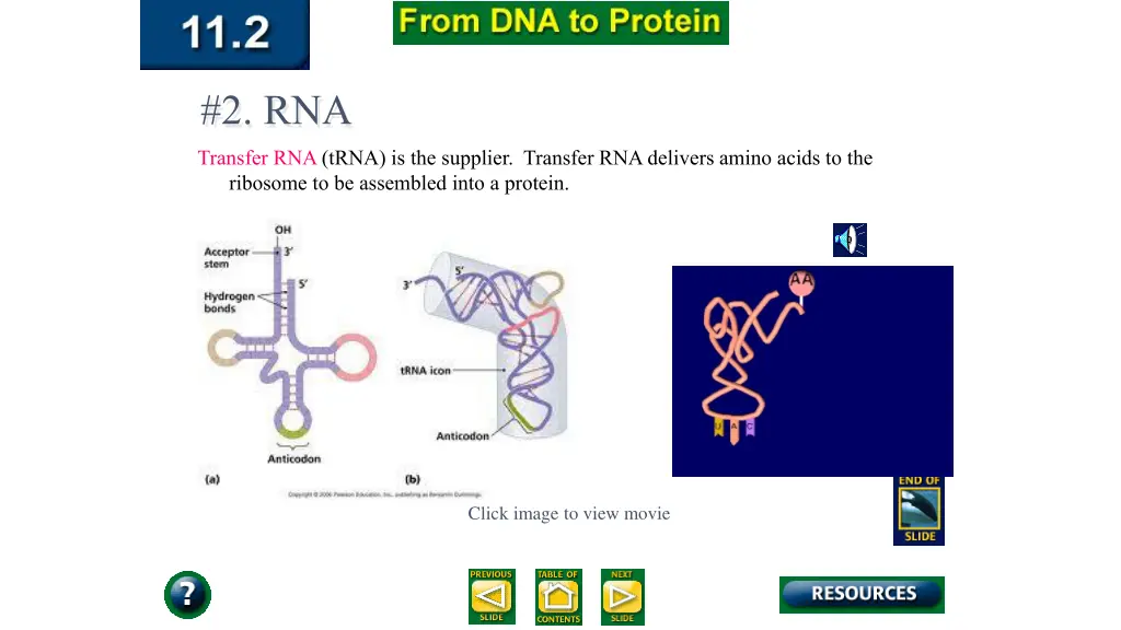 2 rna