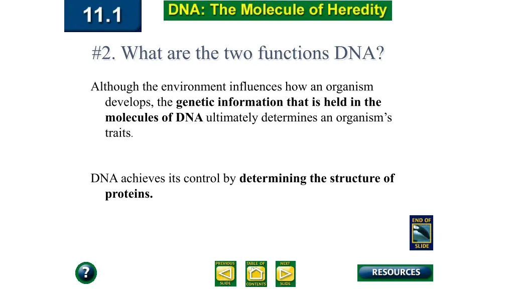 2 what are the two functions dna