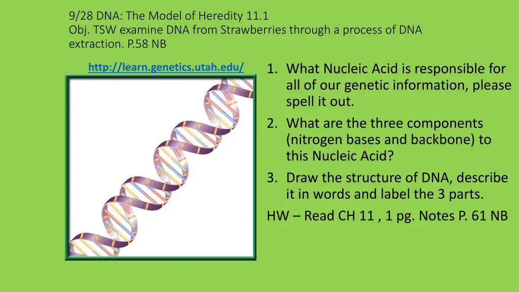 9 28 dna the model of heredity