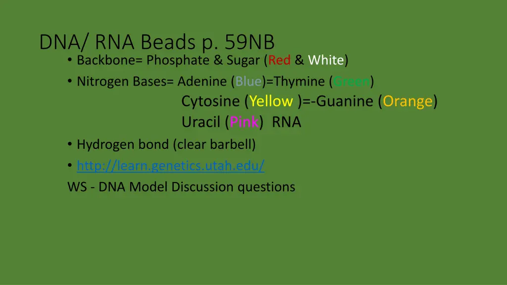 dna rna beads p 59nb backbone phosphate sugar