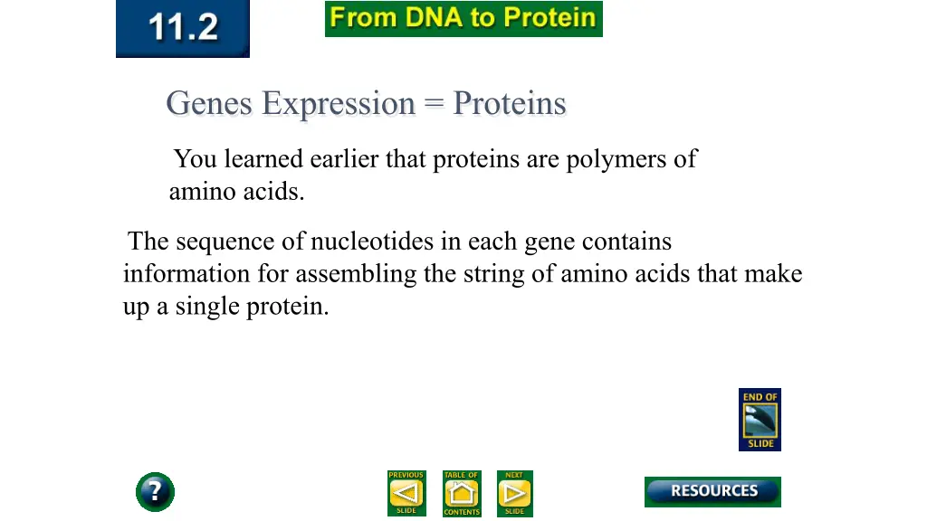 genes expression proteins