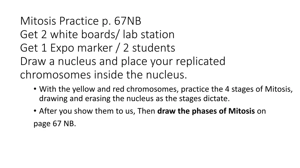 mitosis practice p 67nb get 2 white boards