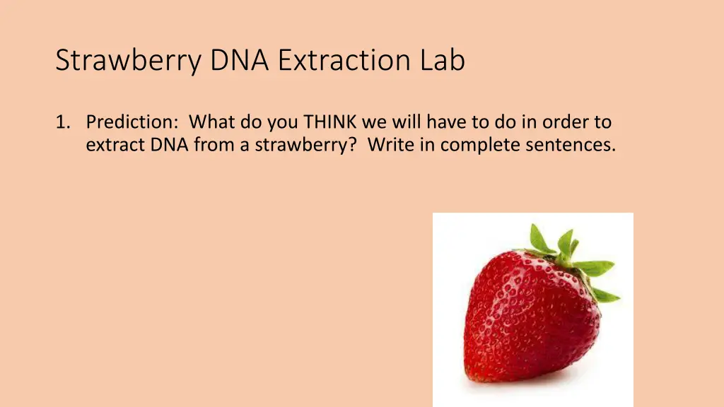 strawberry dna extraction lab