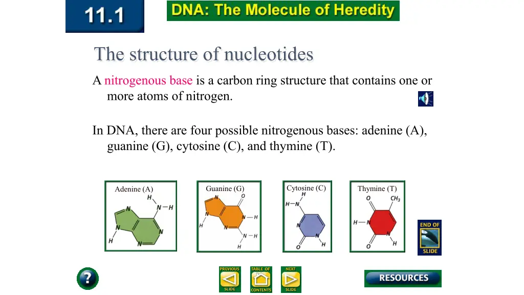 the structure of nucleotides 2