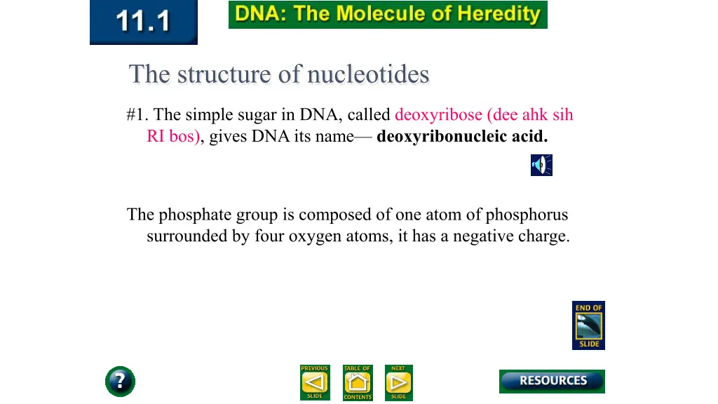 the structure of nucleotides