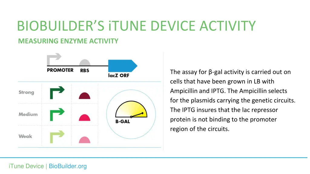 biobuilder s itune device activity measuring