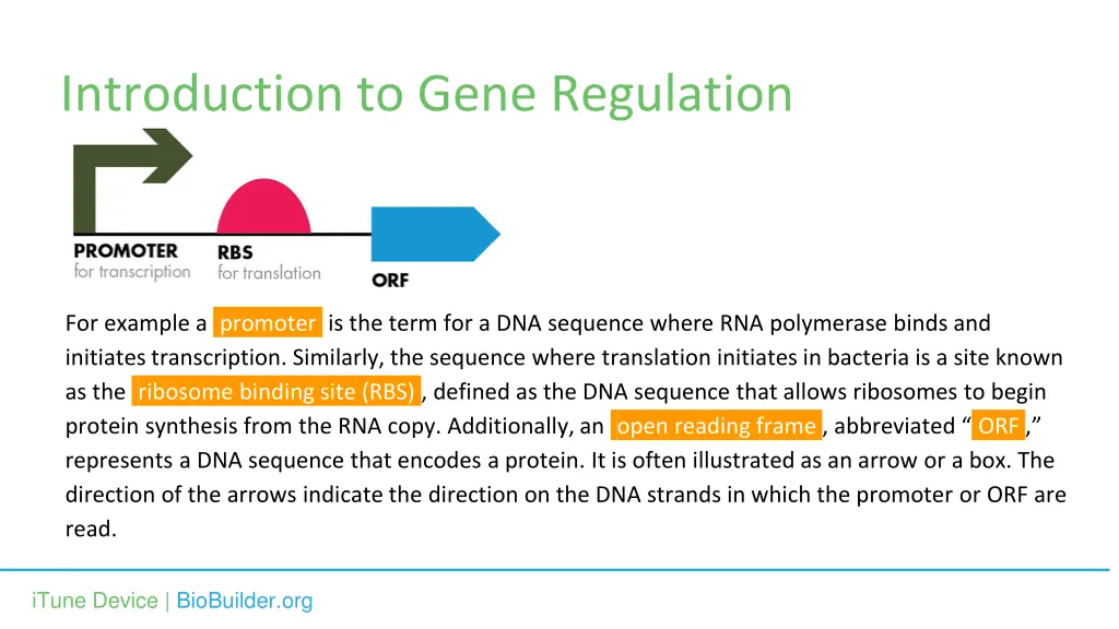 introduction to gene regulation 1