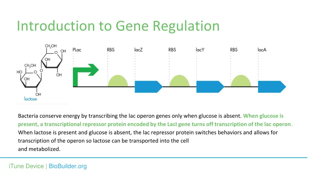 introduction to gene regulation 2