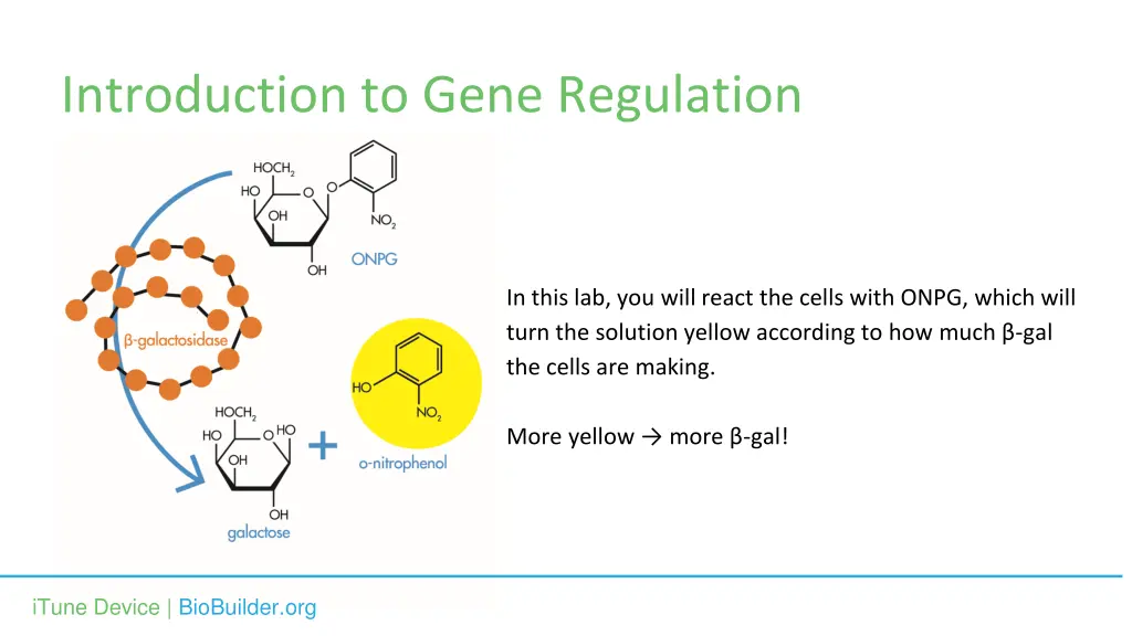 introduction to gene regulation 5