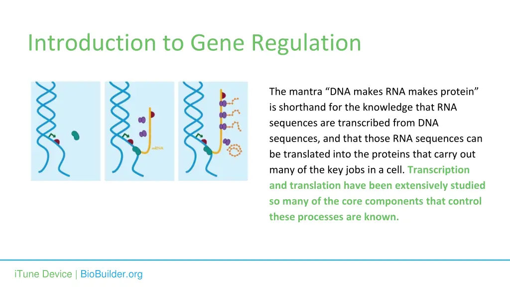 introduction to gene regulation