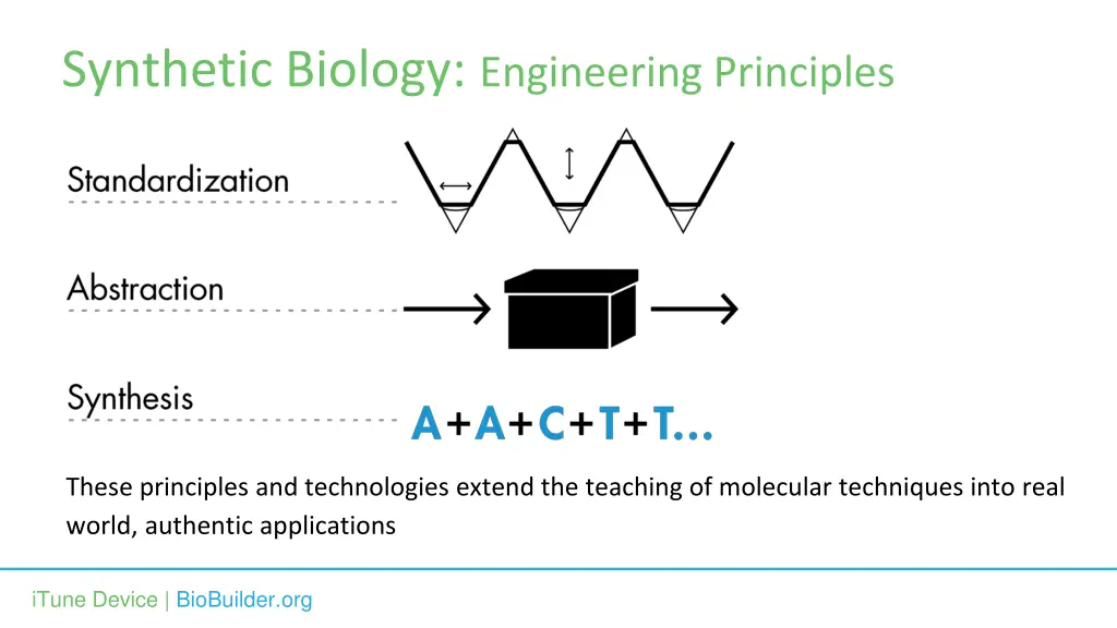 synthetic biology engineering principles