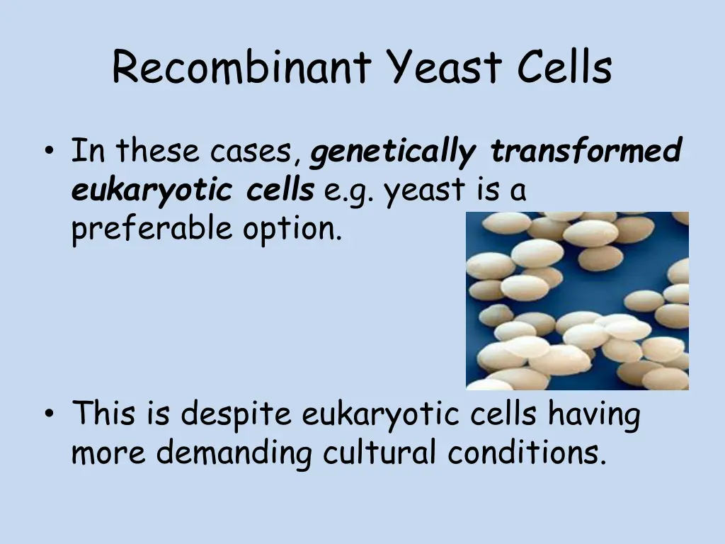 recombinant yeast cells 1