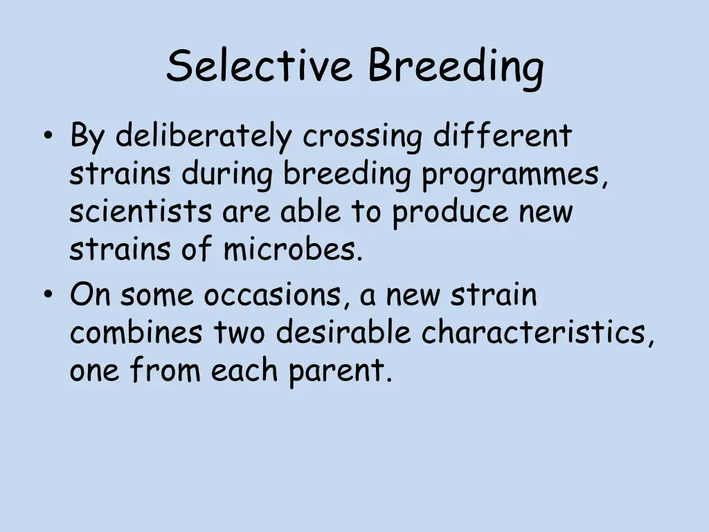 selective breeding