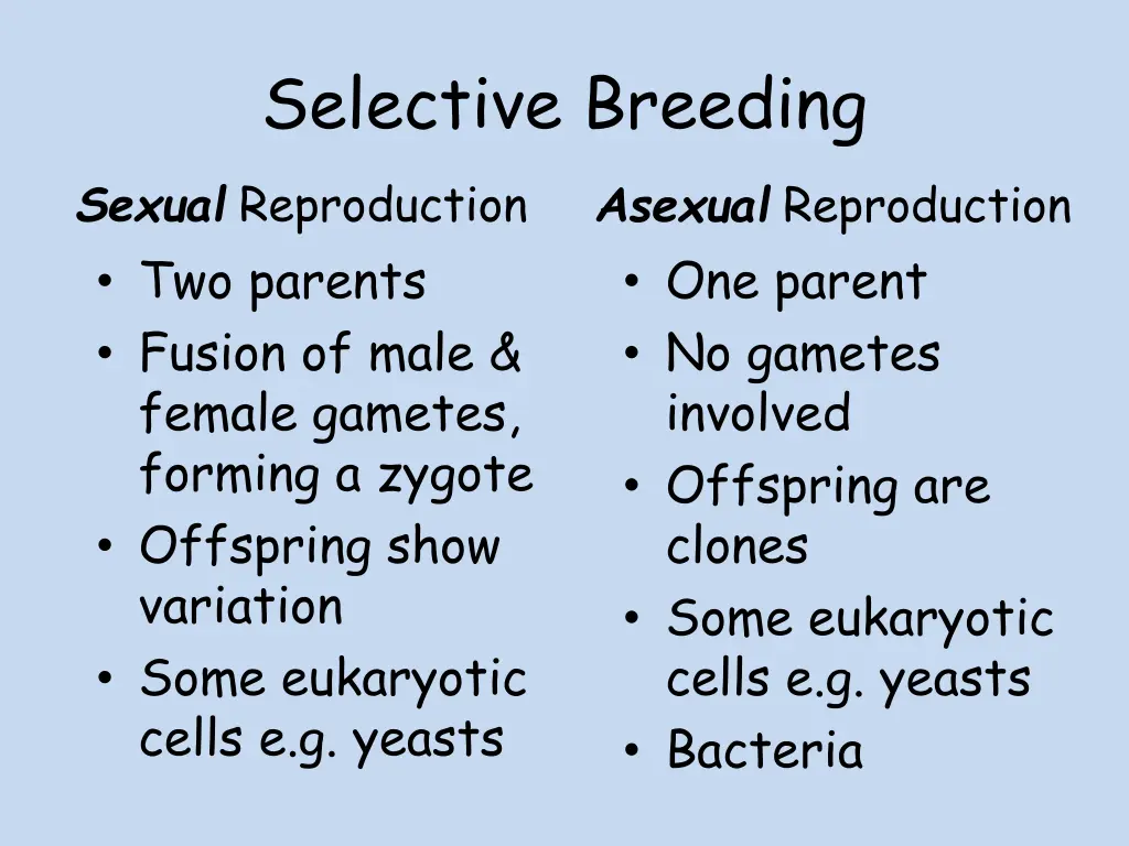 selective breeding sexual reproduction