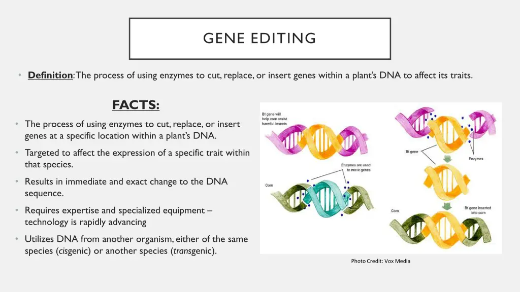 gene editing