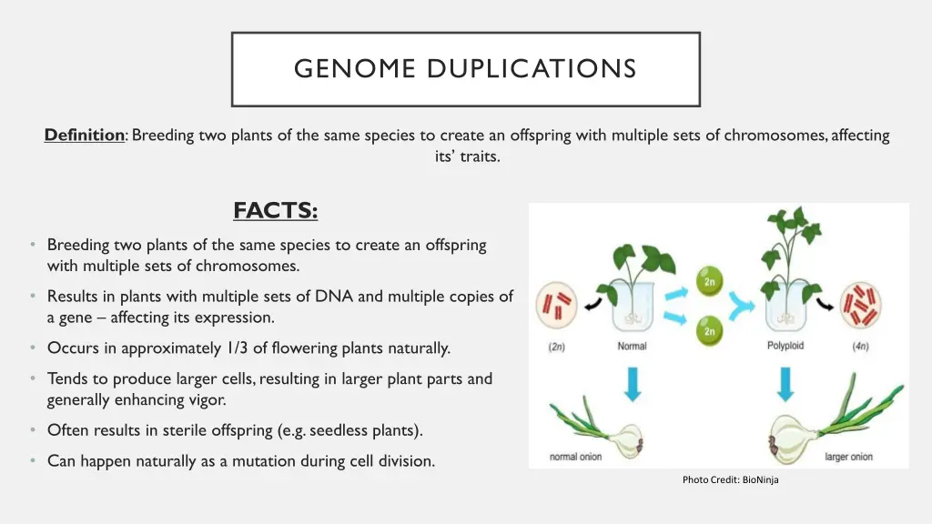 genome duplications