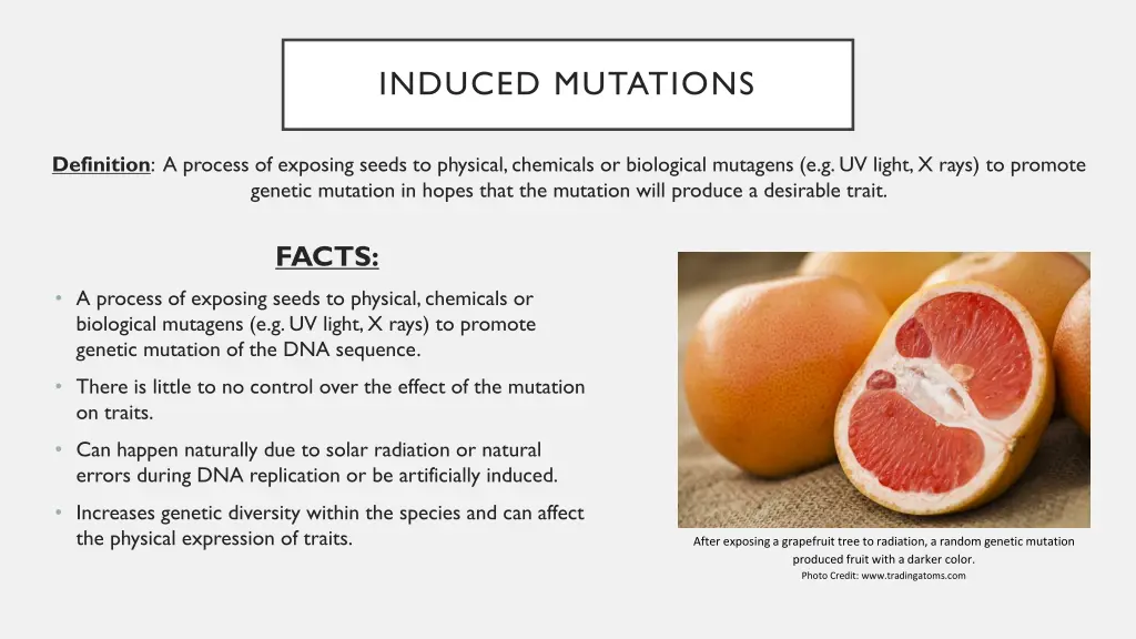 induced mutations