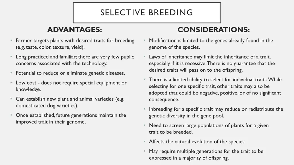 selective breeding 1