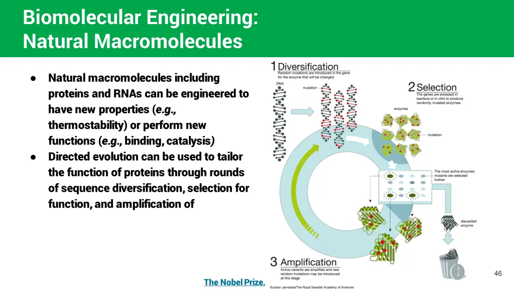 biomolecular engineering natural macromolecules