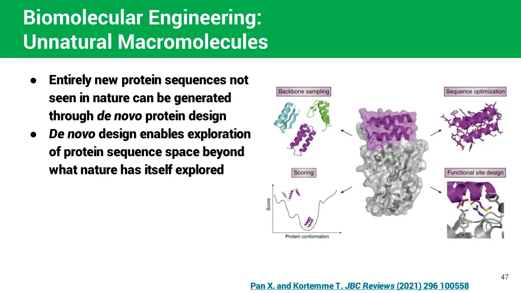 biomolecular engineering unnatural macromolecules