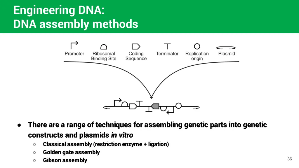 engineering dna dna assembly methods