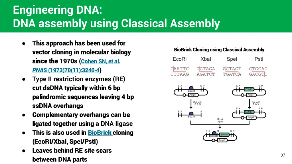 engineering dna dna assembly using classical