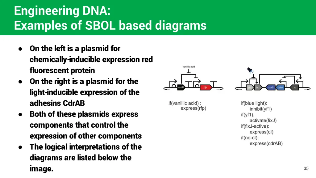 engineering dna examples of sbol based diagrams