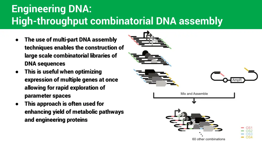 engineering dna high throughput combinatorial