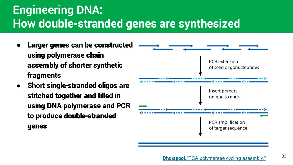 engineering dna how double stranded genes