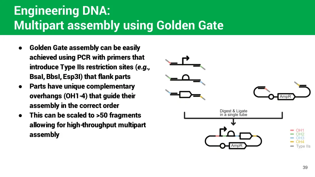 engineering dna multipart assembly using golden 1