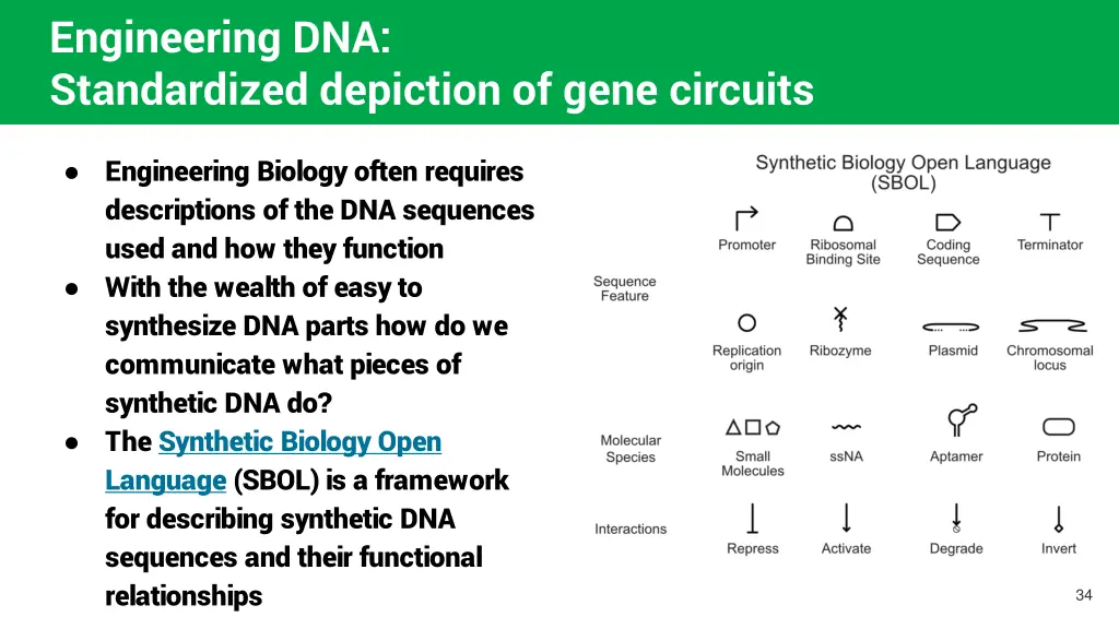 engineering dna standardized depiction of gene